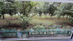 Blk 486 Pasir Ris Drive 4 (Pasir Ris), HDB 5 Rooms #522070061